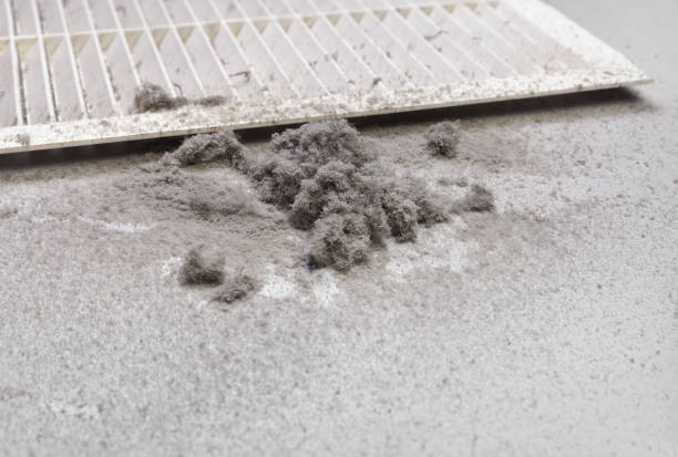 Best Air Duct Cleaning Company Near Me  in Palmview South, TX