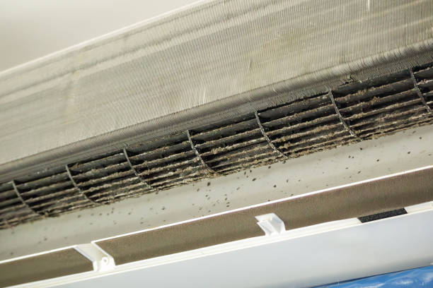 Best Affordable Air Duct Cleaning  in Palmview South, TX