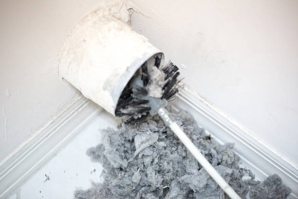 Best Home Air Vent Cleaning  in Palmview South, TX
