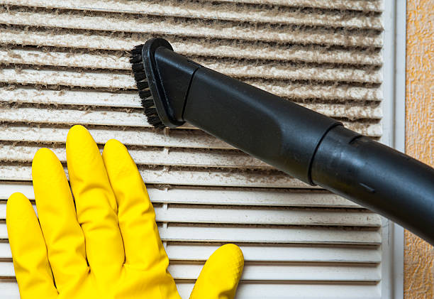 Best Air Vent Cleaning Services  in Palmview South, TX