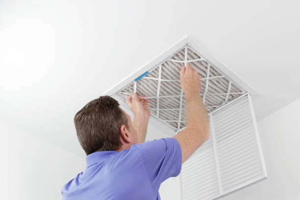 Best HVAC Duct Inspection Services  in Palmview South, TX